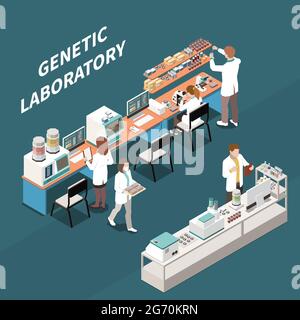 Gruppo di scienziati che lavorano in laboratorio genetico illustrazione vettoriale isometrica 3d Illustrazione Vettoriale