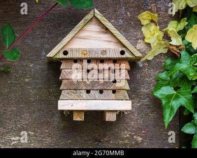 Casa solitaria in legno appesa su un albero con foglie verdi ai lati Foto Stock
