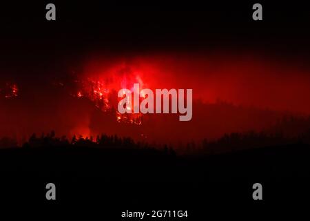 Beckwourth, Stati Uniti. 09 luglio 2021. Gli alberi che bruciano mentre il fuoco del complesso di Beckwourth si avvicina all'autostrada 395. Il fuoco del complesso Beckwourth continua a bruciare per tutta la notte. Credit: SOPA Images Limited/Alamy Live News Foto Stock