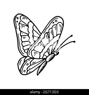 Farfalla disegnata a mano isolata di bianco. Illustrazione vettoriale nello stile di schizzo Illustrazione Vettoriale