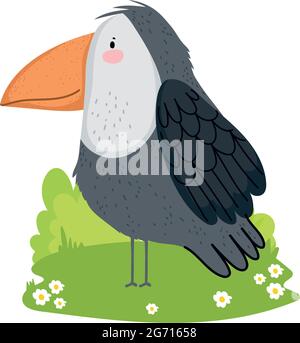 carino uccello toucan Illustrazione Vettoriale