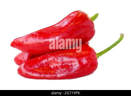 Pepe rosso isolato su sfondo bianco. Percorso di ritaglio del peperone rosso Foto Stock