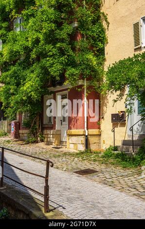 Tübingen, Baden-Württemberg, Germania: Facciate di case in vegetazione a Klosterberg, nel centro storico. Foto Stock
