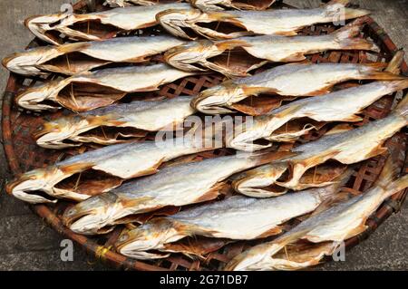 Stile di vita locale della gente macanese pesce sole essiccato per conserve alimentari su cesto di vimini di bambù all'aperto sul sentiero accanto alla strada a Macao Foto Stock