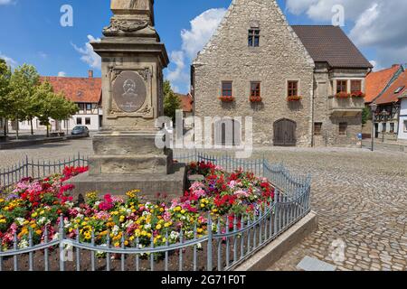 Rathaus Wegeleben Verbandsgemeinde Vorharz Harz Foto Stock