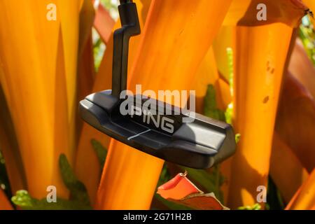 Bella promozione putter per un negozio di golf in Hawaii. Foto Stock