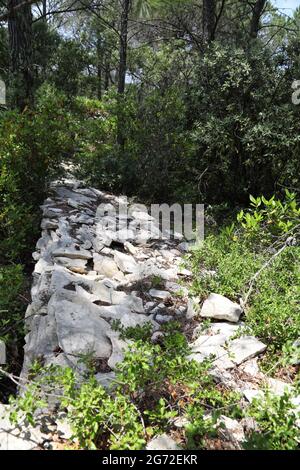 Antico percorso pre-romano in pietra a secco nei boschi di Garrigue dove si trovano le strutture del XVII secolo note come capitelle, Congenies, Gard, Occitania, Francia Foto Stock