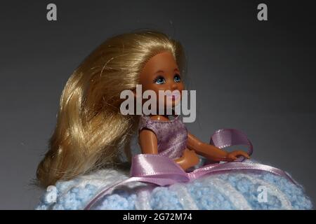 Bambola da toletta, una bambola Barbie con abito a uncinetto sopra un rotolo di toliet Foto Stock