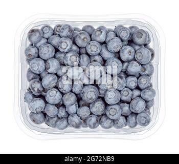 Mirtilli freschi in un contenitore di plastica trasparente. Frutti crudi di Vaccinium corymbosum, bacche di mirtilli dell'alta macchia settentrionale di colore blu scuro. Foto Stock