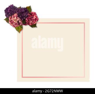 Bordo floreale intorno a uno sfondo colorato personalizzabile, perfetto per carte e inviti Foto Stock