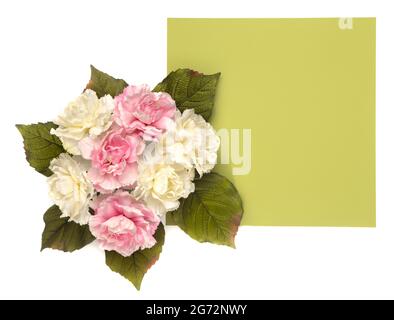 Bordo floreale intorno a uno sfondo colorato personalizzabile, perfetto per carte e inviti Foto Stock