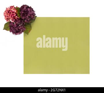 Bordo floreale intorno a uno sfondo colorato personalizzabile, perfetto per carte e inviti Foto Stock