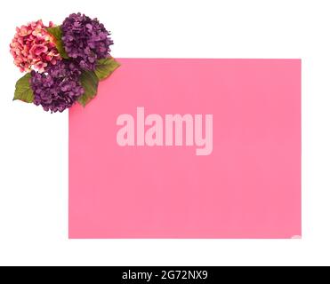 Bordo floreale intorno a uno sfondo colorato personalizzabile, perfetto per carte e inviti Foto Stock