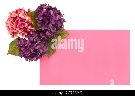 Bordo floreale intorno a uno sfondo colorato personalizzabile, perfetto per carte e inviti Foto Stock