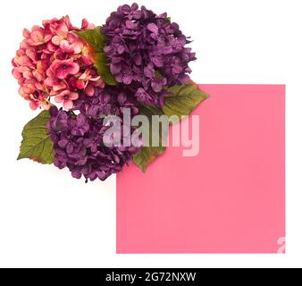 Bordo floreale intorno a uno sfondo colorato personalizzabile, perfetto per carte e inviti Foto Stock