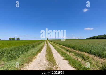 Landscape of the dirt road leading to the horizon on a sunny day Foto Stock