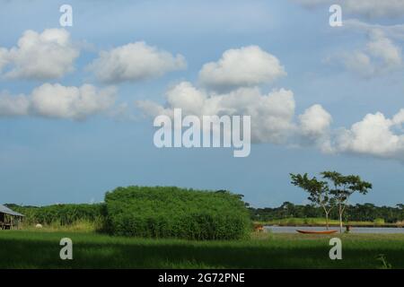 Splendida vista sulla natura del Bangladesh Foto Stock