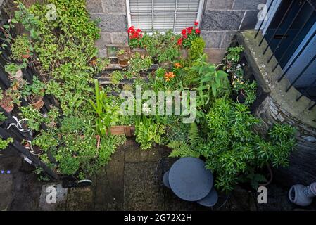 Giardino seminterrato in estate a New Town, Edimburgo, Scozia, Regno Unito. Foto Stock