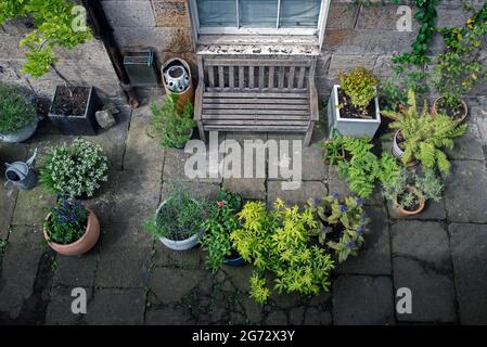 Giardino seminterrato in estate a New Town, Edimburgo, Scozia, Regno Unito. Foto Stock