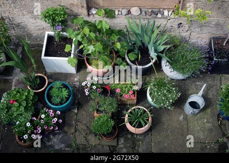 Giardino seminterrato in estate a New Town, Edimburgo, Scozia, Regno Unito. Foto Stock