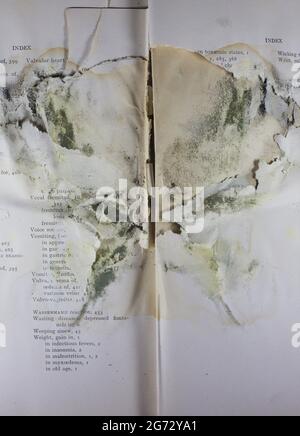 Muffa che assomiglia ad un test di inkblot di Rorschach all'interno di un vecchio libro. Foto Stock