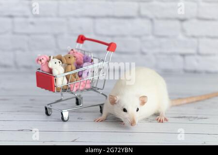 Un piccolo simpatico ratto bianco accanto al carrello della spesa è pieno di orsi Teddy multicolore. Shopping nel mercato. Acquisto di regali per compleanni e holida Foto Stock