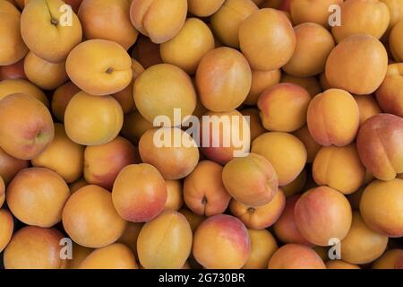 Frutta fresca di albicocca matura, sfondo full frame, vista dall'alto Foto Stock