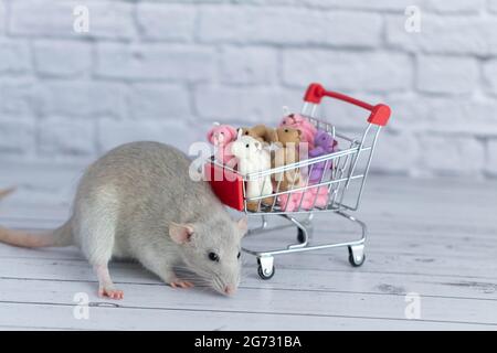 Un piccolo simpatico ratto grigio accanto al carrello della spesa è pieno di orsi Teddy multicolore. Shopping nel mercato. Acquisto di regali per compleanni e vacanze Foto Stock