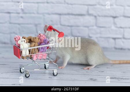 Un piccolo simpatico ratto grigio accanto al carrello della spesa è pieno di orsi Teddy multicolore. Shopping nel mercato. Acquisto di regali per compleanni e vacanze Foto Stock