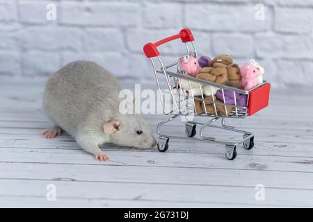 Un piccolo simpatico ratto grigio accanto al carrello della spesa è pieno di orsi Teddy multicolore. Shopping nel mercato. Acquisto di regali per compleanni e vacanze Foto Stock