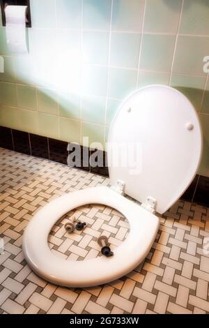 Il nuovo kit di sedili per WC attende Installion in un bagno casalinghi, USA Foto Stock