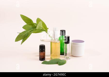 Contenitori cosmetici e foglie di salvia a base di erbe su sfondo chiaro. Cosmetici SPA branding mock-up. Concetto di prodotto di bellezza organico. Foto Stock