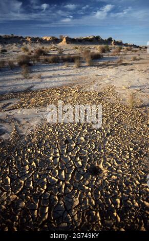 TERRA INCRINATA NEL DURO E INFLESSIBILE DESERTO DI SIMPSON, AUSTRALIA CENTRALE. Foto Stock