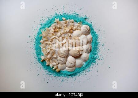 Conchiglie e fiori beige all'interno del cerchio di polvere ciano su sfondo bianco Foto Stock