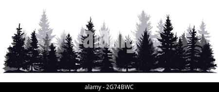 Silhouette di alberi di pino. Sempreverdi conifere silhouette foresta, natura abete rosso albero vista parco illustrazione vettoriale. Silhouette di legno di conifere Illustrazione Vettoriale