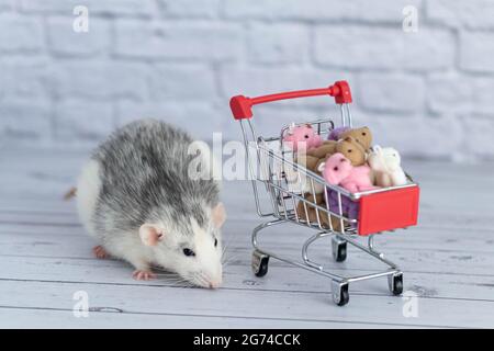 Un piccolo simpatico ratto bianco e nero accanto al carrello della spesa è pieno di orsi Teddy multicolore. Shopping nel mercato. Acquisto di regali per compleanni Foto Stock