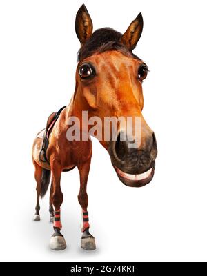 Cartone animato come immagine di testa di cavallo e grande sorriso Foto Stock