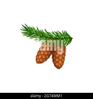Coni su ramo di pino o abete, foresta pinecone vettore isolato icona. Natale inverno o Ringraziamento autunno stagione vacanza simbolo di cedro, abete rosso Illustrazione Vettoriale