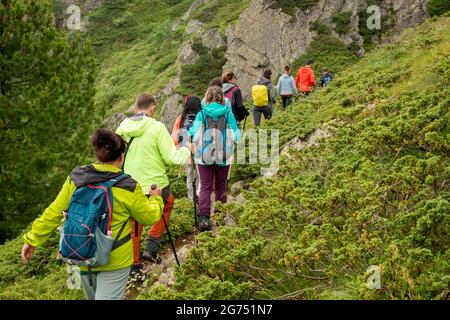 Gruppo di escursionisti o backpackers che camminano in fila sul sentiero E3 lungo la lunga distanza nel Parco Nazionale dei Balcani centrali, Monte Troyan, Bulgaria Foto Stock