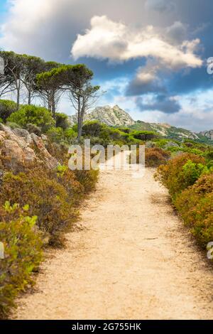 Splendida vista su un sentiero che conduce a Cala caprese, una bellissima spiaggia dell'Isola di Caprera. Montagna di granito sfocato in lontananza. Foto Stock