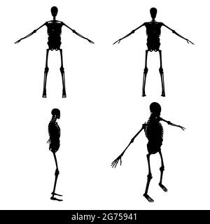 Set con sagome di uno scheletro umano con organi interni in varie posizioni isolate su sfondo bianco. Illustrazione vettoriale. Illustrazione Vettoriale