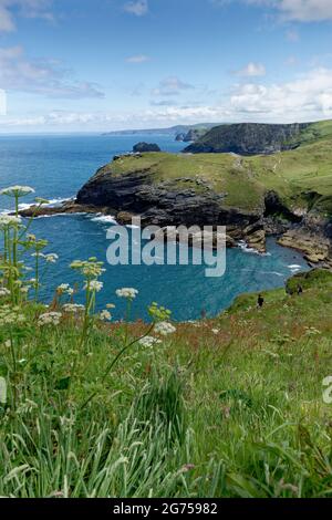 Il paesaggio superbo abbonda lungo la costa nord della Cornovaglia nell'estremo sud-ovest dell'Inghilterra. Specialmente qui a Tintagel Foto Stock