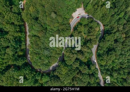 Strada curvilinea nel mezzo di una foresta verde in estate. Foto aerea come concetto per un viaggio su strada in auto, viaggio in vacanza come top down shot Foto Stock
