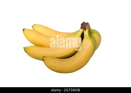 Mazzo di banane su sfondo bianco Foto Stock