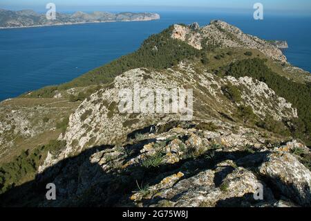 Atalaya de Alcudia, Maiorca, Isole Baleari Foto Stock