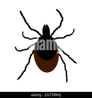 Icona Mite isolata su sfondo bianco. Parassita zecche selvatiche o domestiche. Simbolo o segno dell'icona di acaro a fumetti piatti. Controllo di insetto. Illustrazione vettoriale Illustrazione Vettoriale