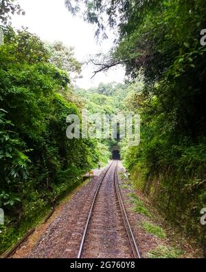 Una lunga strada ferroviaria proveniente dal tunnel tra la giungla Foto Stock