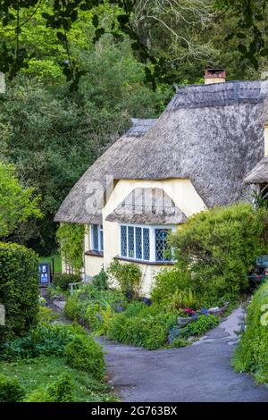 Uno degli storici cottage con tetto in paglia nel pittoresco villaggio di Selworthy, vicino a Minehead, nel Parco Nazionale di Exmoor, Somerset, Inghilterra. Foto Stock