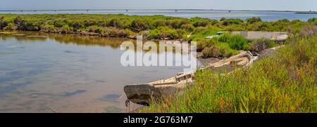 Canale d'acqua attraverso i campi di riso con una barca di legno marcio al Delta di Ebro nella regione di Tarragona. Spagna Foto Stock