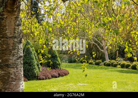 Splendido giardino di campagna primaverile ad Hiller, Hampshire Regno Unito. Foglie retroilluminate e piante e aiuole strutturate. Foto Stock